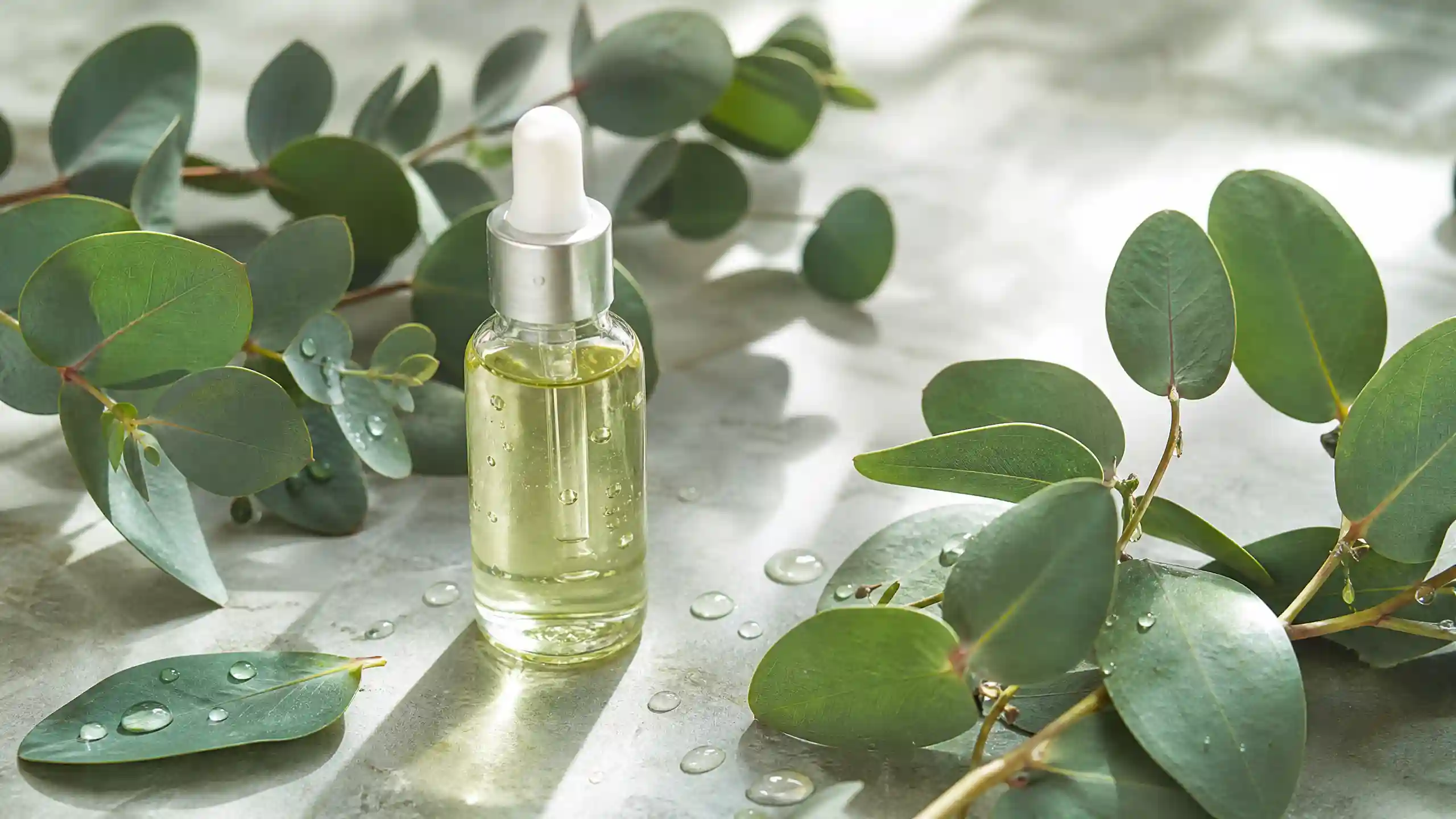 Eucalyptus Oil Manufacturer & Supplier in India 1 Eucalyptus Oil Manufacturer & Supplier in India