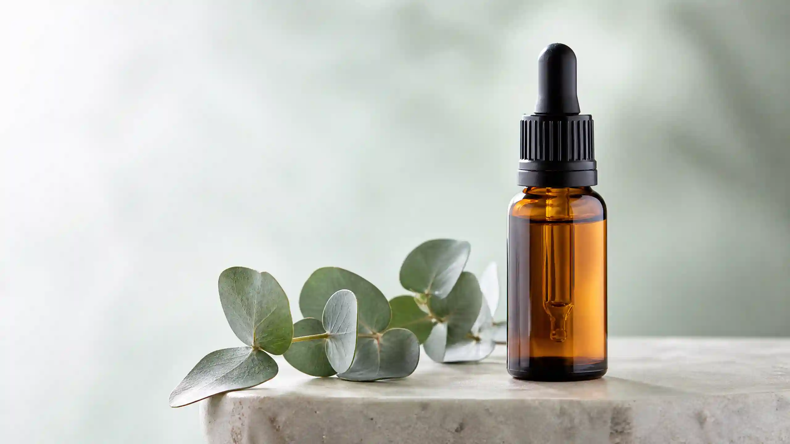 Eucalyptus Oil Manufacturer & Supplier in India 2 Eucalyptus Oil Manufacturer & Supplier in India - Image 2